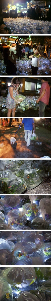 instalacion del colectivo de arte madrileño Luzinterruptus