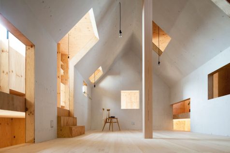 Ant House