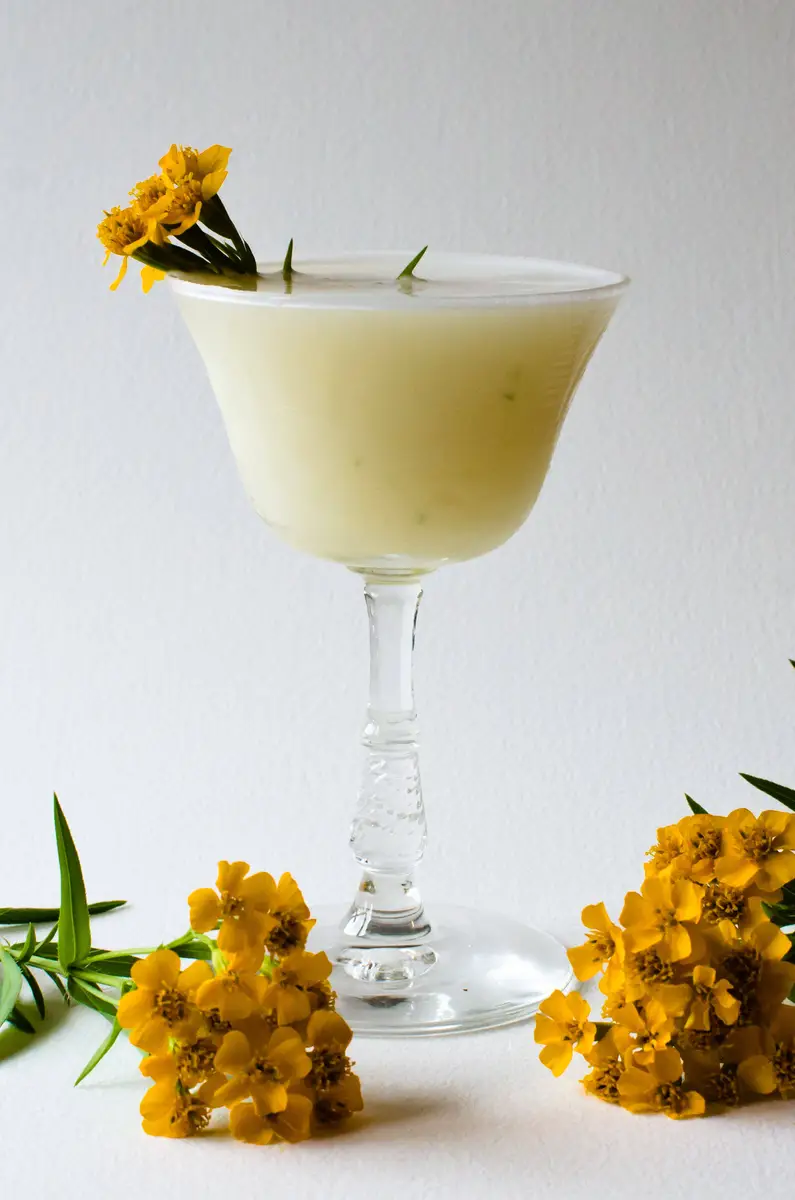 COCKTAIL LOUNGE (Parte 1)