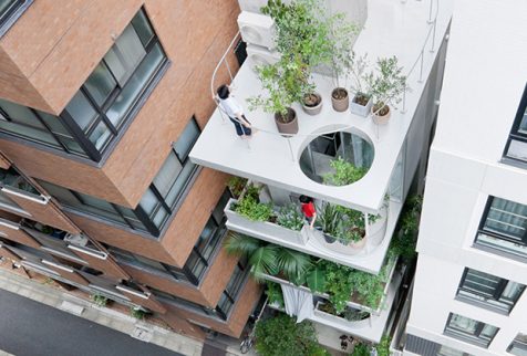 Un Jardín Japonés