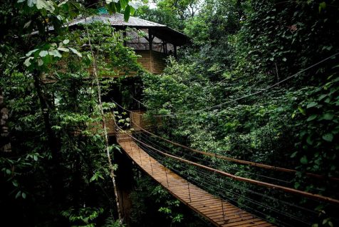 Barrio en el bosque