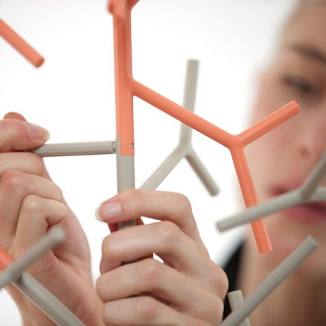 Estructura AMASS