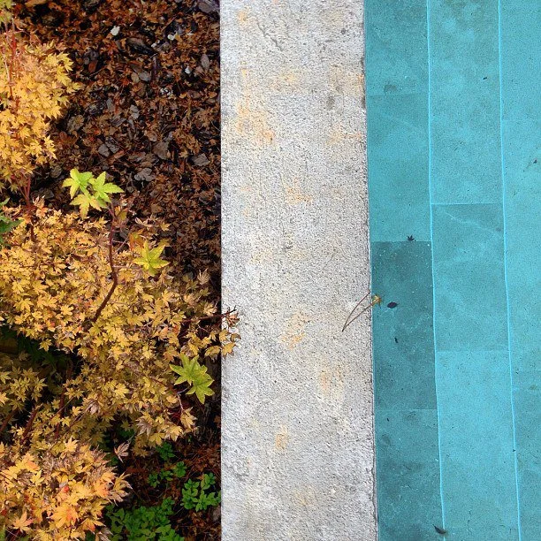 184938_379508862128399_796592412_n