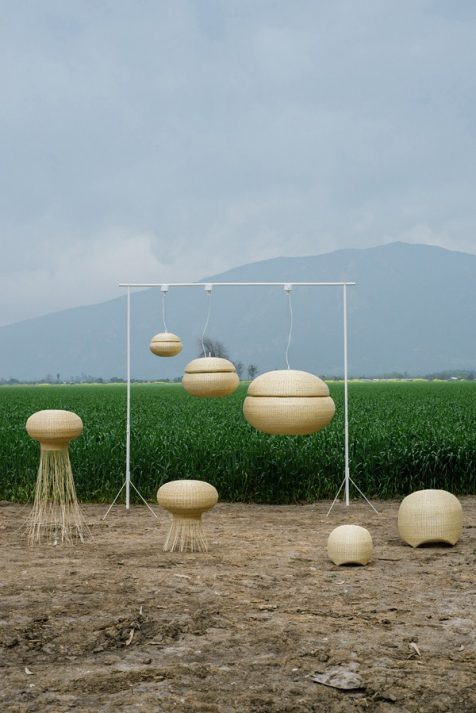 Lámparas inspiradas por la naturaleza