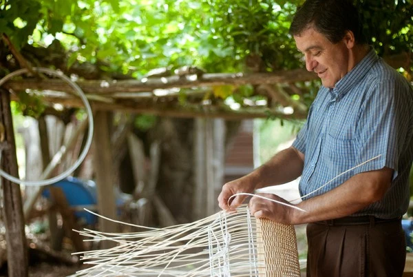 2-MedusaChinitaBellota