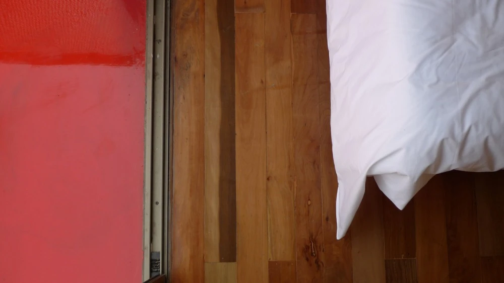 detalle de felipe ortiz