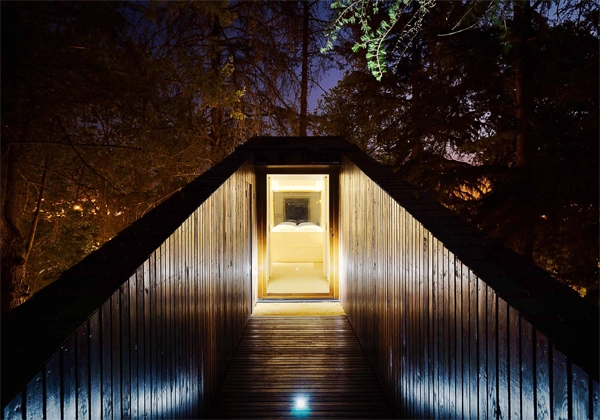 Tree-Snake-Houses-Pedras-Salgadas-Rebelo-de-Andrade-5