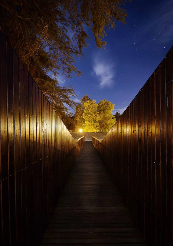 Tree-Snake-Houses-Pedras-Salgadas-Rebelo-de-Andrade-6