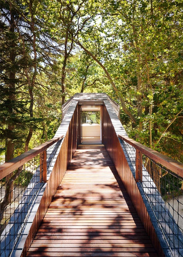 Tree-Snake-Houses-Pedras-Salgadas-Rebelo-de-Andrade-7