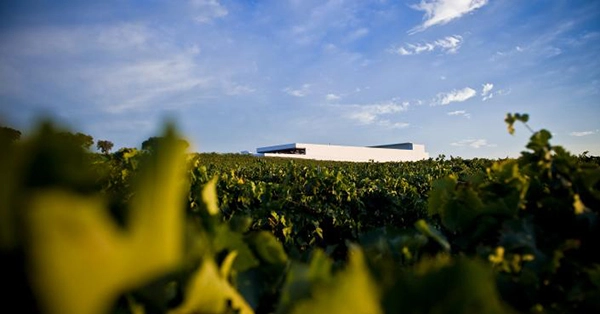 20100923_goncalo_villaverde000457