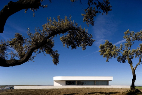 ADEGA MAIOR (Bodega)