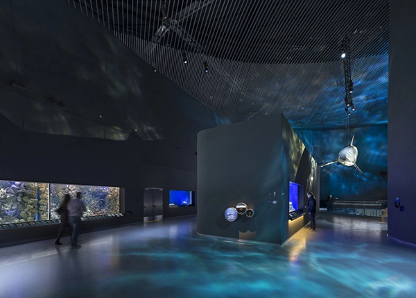 dezeen_The-Blue-Planet-by-3XN_ss_8