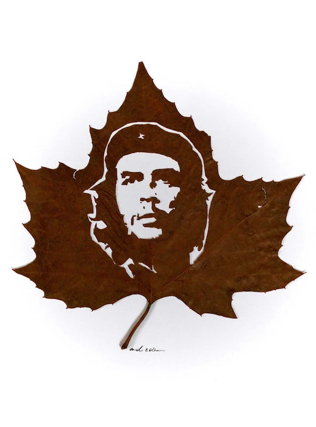 Hojas-talladas-omid-asadi-16