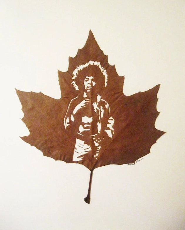 Hojas-talladas-omid-asadi-4
