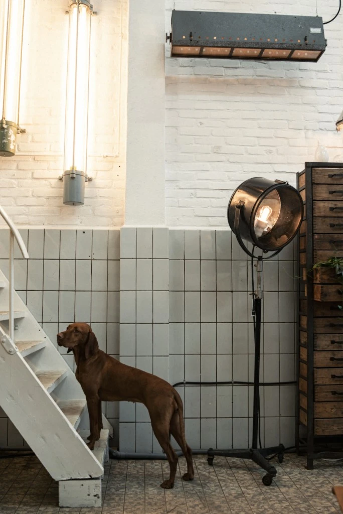 Blom&Blom_despiertaymira_03