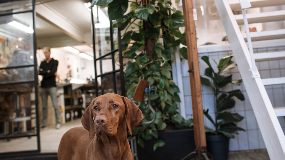 Blom&Blom_despiertaymira_07