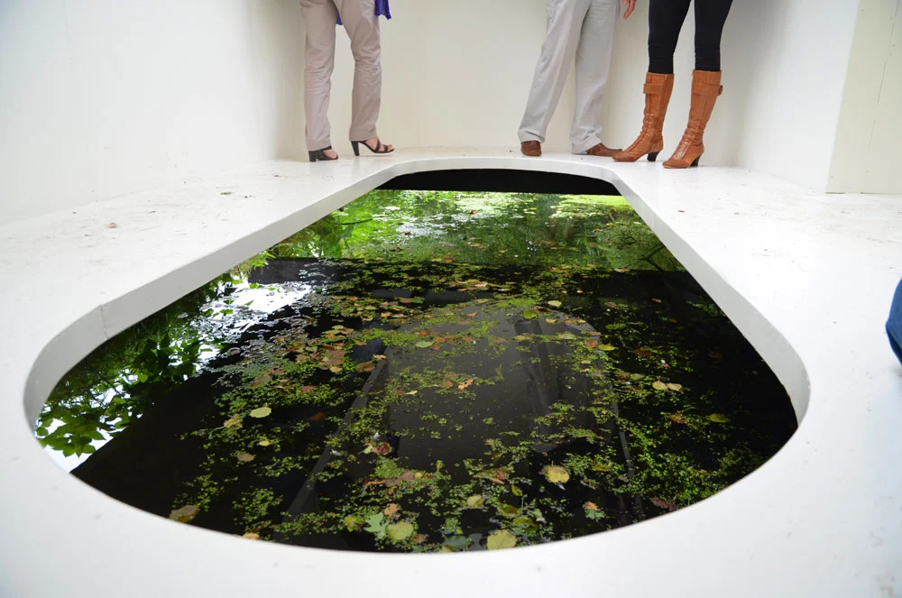 El deleite de la naturaleza con Rob Sweere