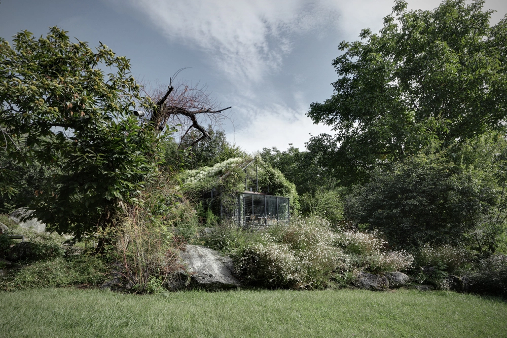 Blog despiertaymira.com Green Box de act romengialli