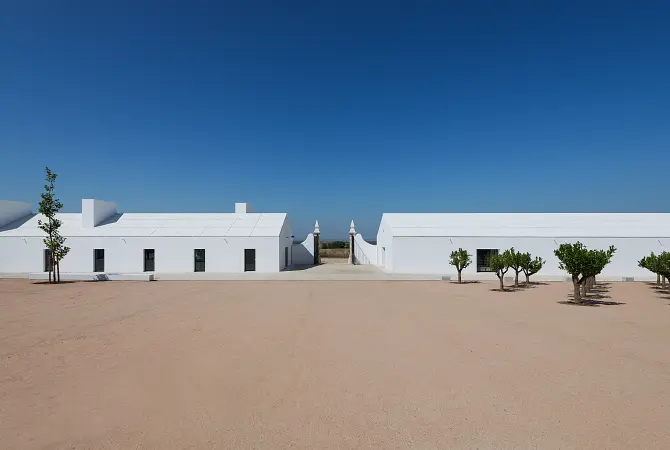 despiertaymira João Mendes Ribeiro