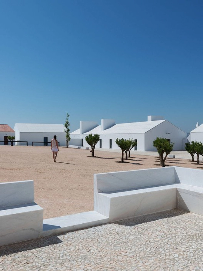 despiertaymira João Mendes Ribeiro