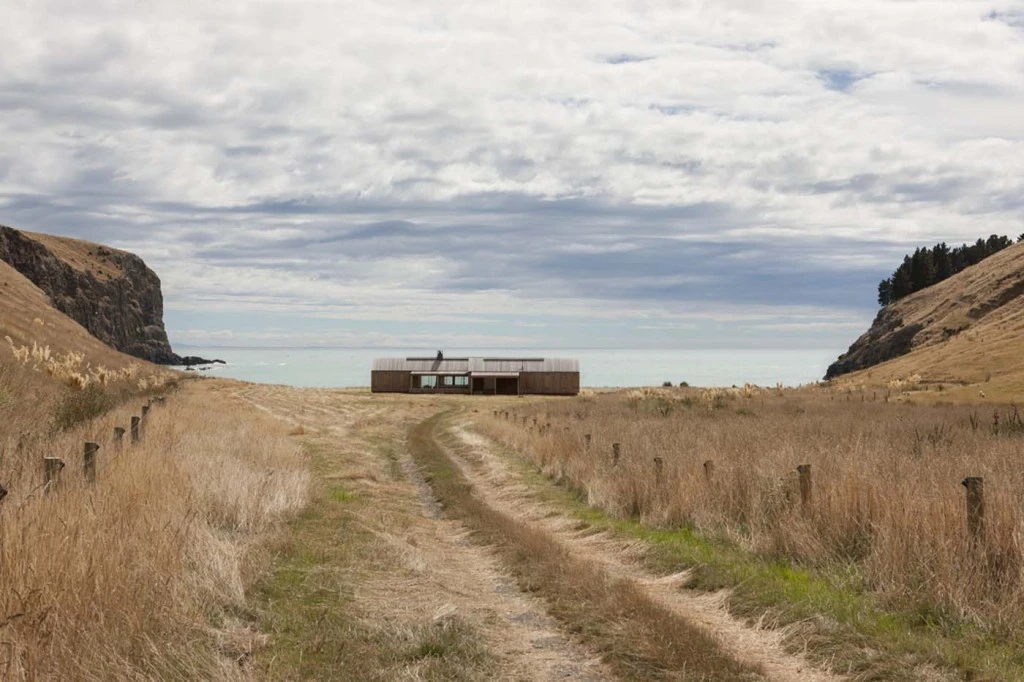 despiertaymira Patterson Asociados. Photo SIMON DEVITT (1)