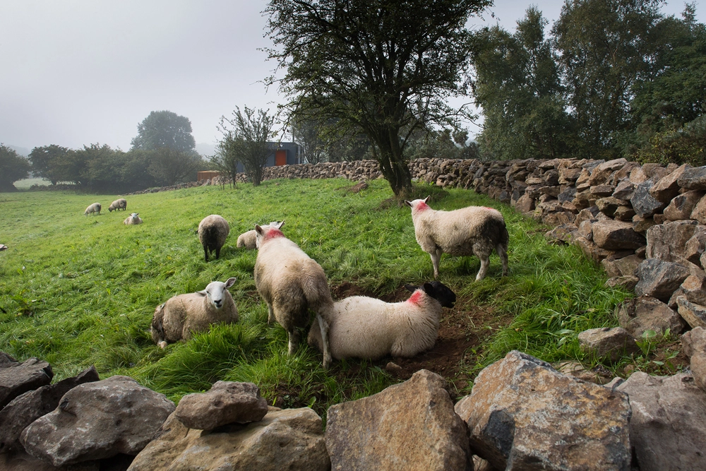 pb architects en despiertaymira (10)