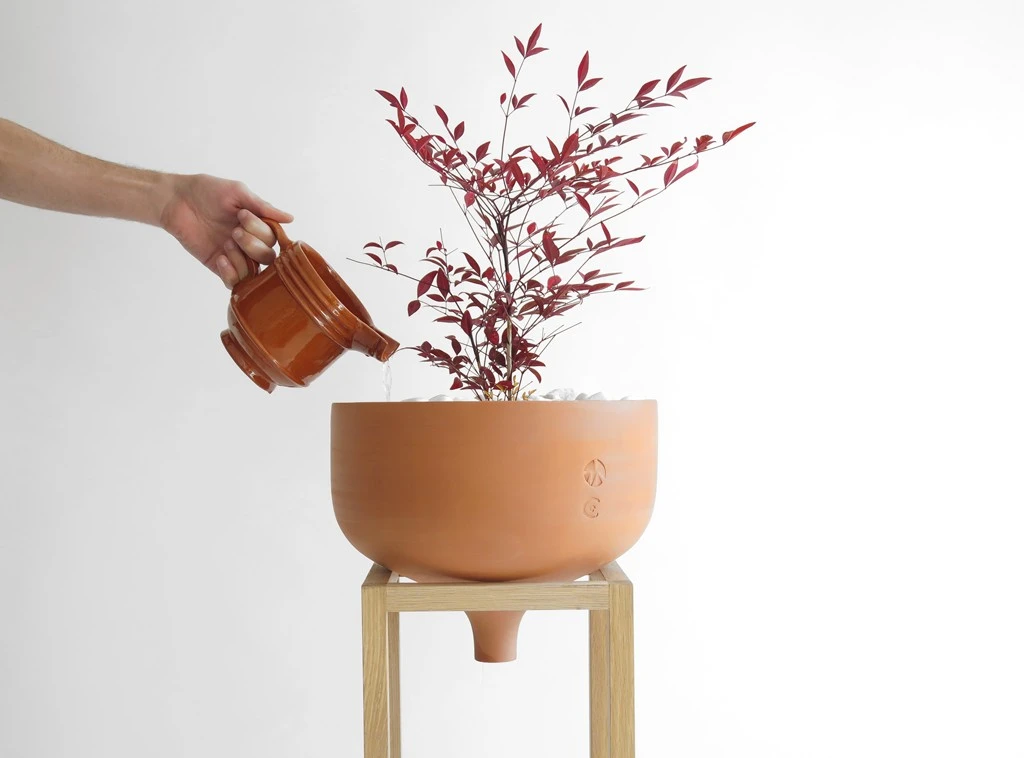 13. despiertaymira martin-azua-manantial-06