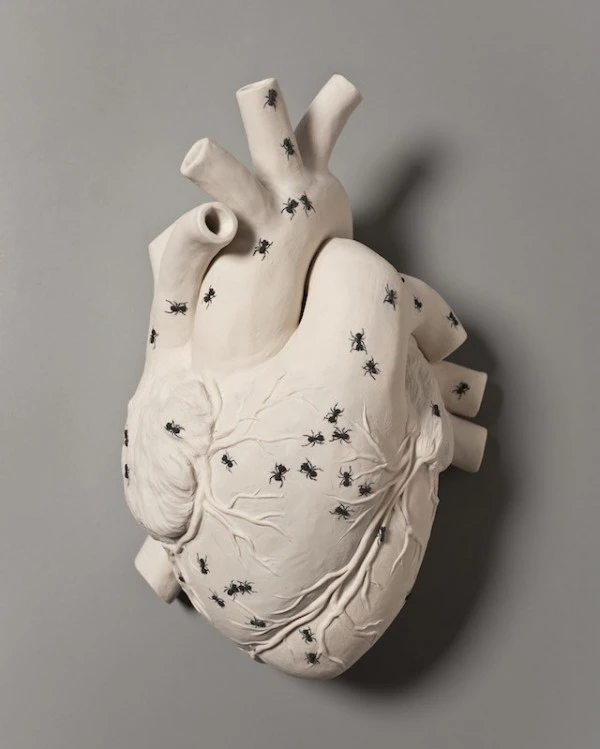 3. despiertaymirakate-macdowell