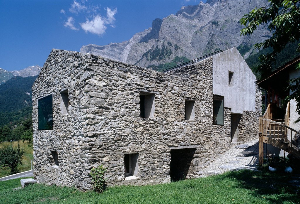 Savioz Fabrizzi Thomas J despiertaymira (1)