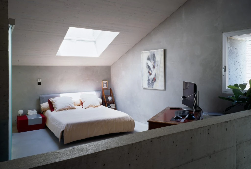 Savioz Fabrizzi Thomas J despiertaymira (12)