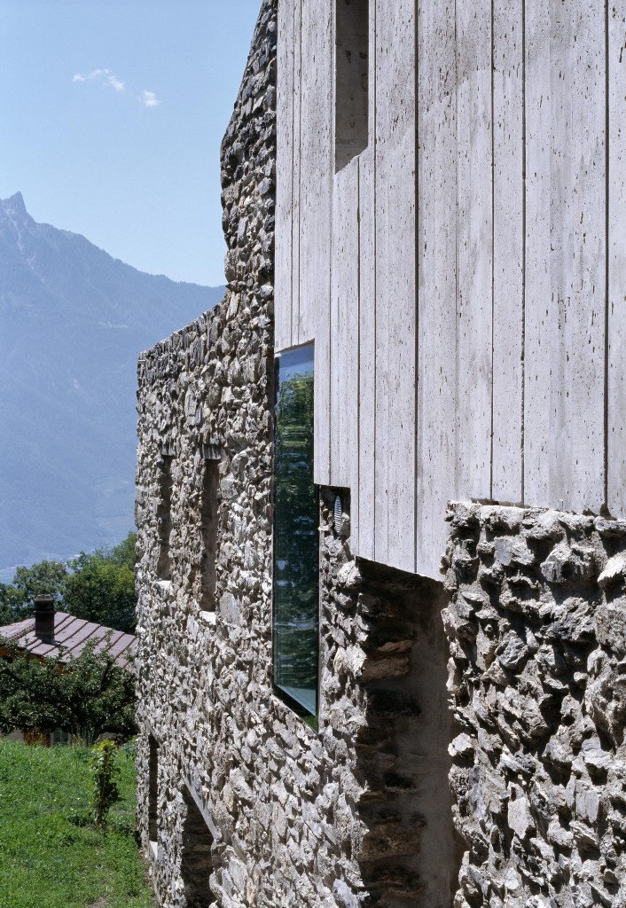 Savioz Fabrizzi Thomas J despiertaymira (2)