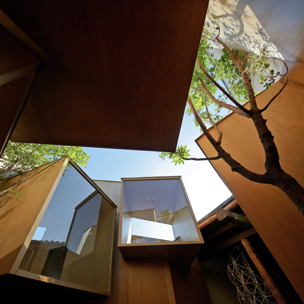 Zhang_Mingming_despiertaymira (23)