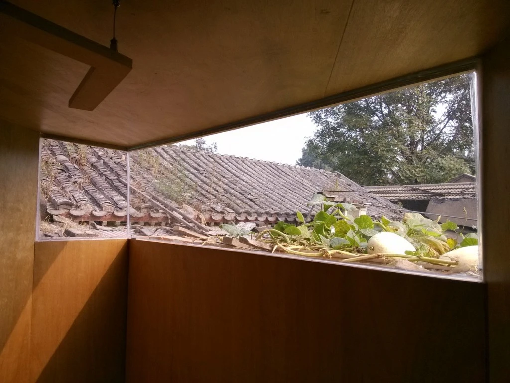 Zhang_Mingming_despiertaymira (24)