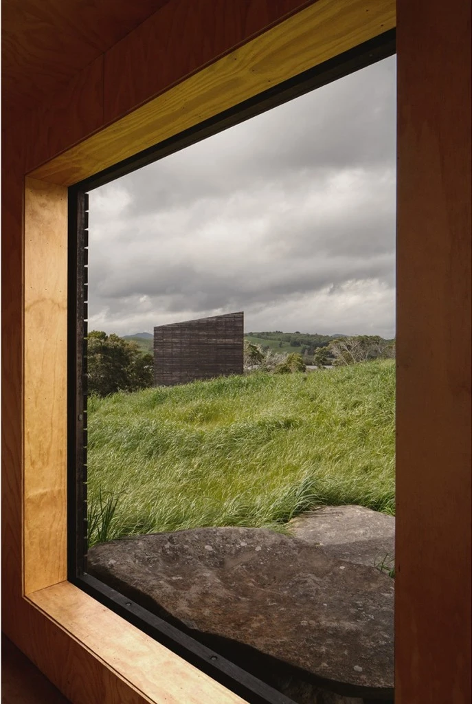 Pyto Eyrie DESPIERTAYMIRA Photo JT (23)