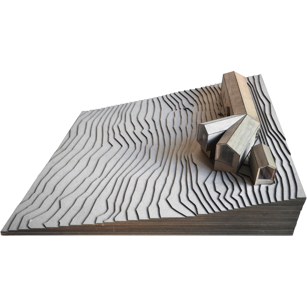 RRA despiertaymira (18)