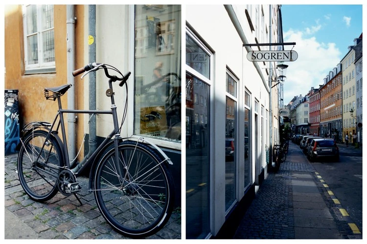 Sögreni, la bicicleta hecha arte