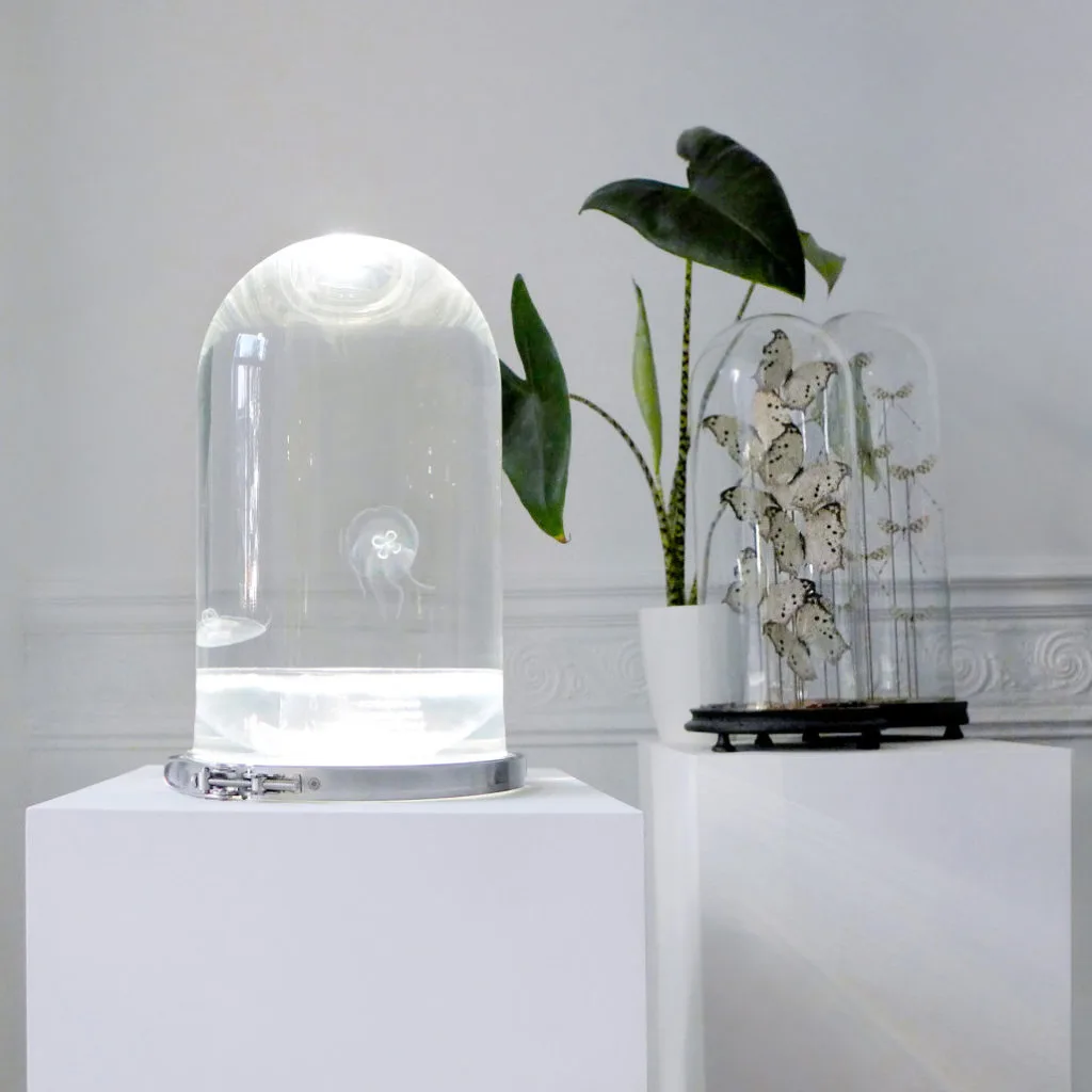 ¿Y si decoráramos el salón con medusas?