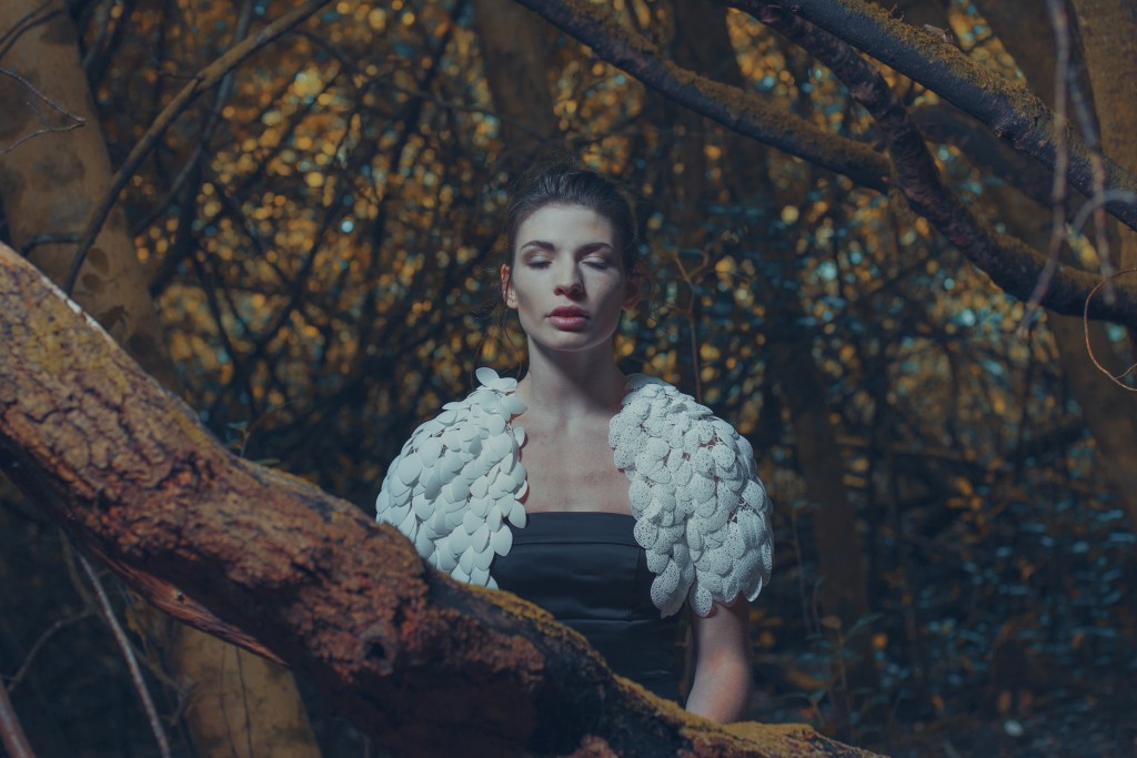 Plumages_love&robots_dym02