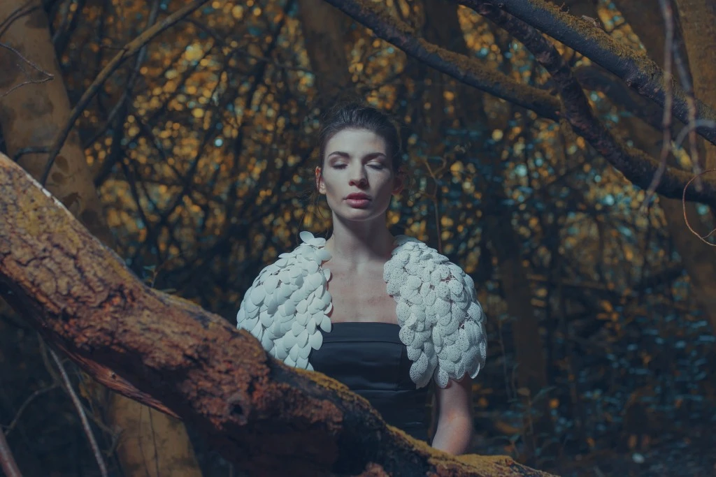 Plumages_love&robots_dym02