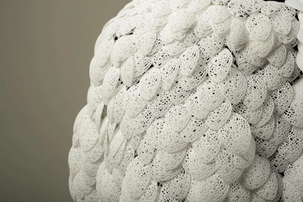 Plumages_love&robots_dym04