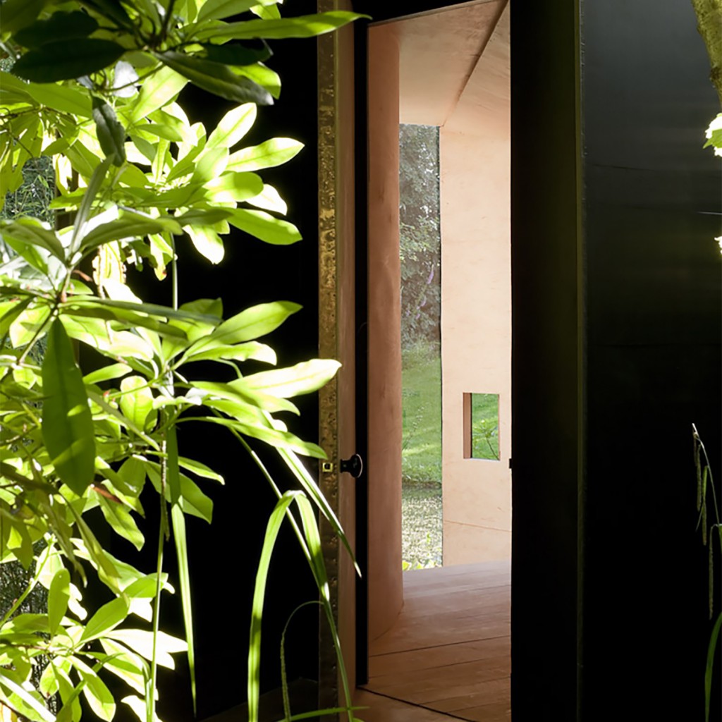 TDO-BenBlossom (2)