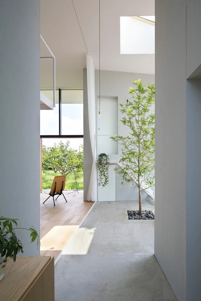 casa-ohno-airhouse-design-office-DESPIERTAYMIRA (10)