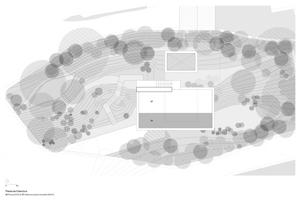 CARAUJO_MONTARIA_despiertaymira_P_COB