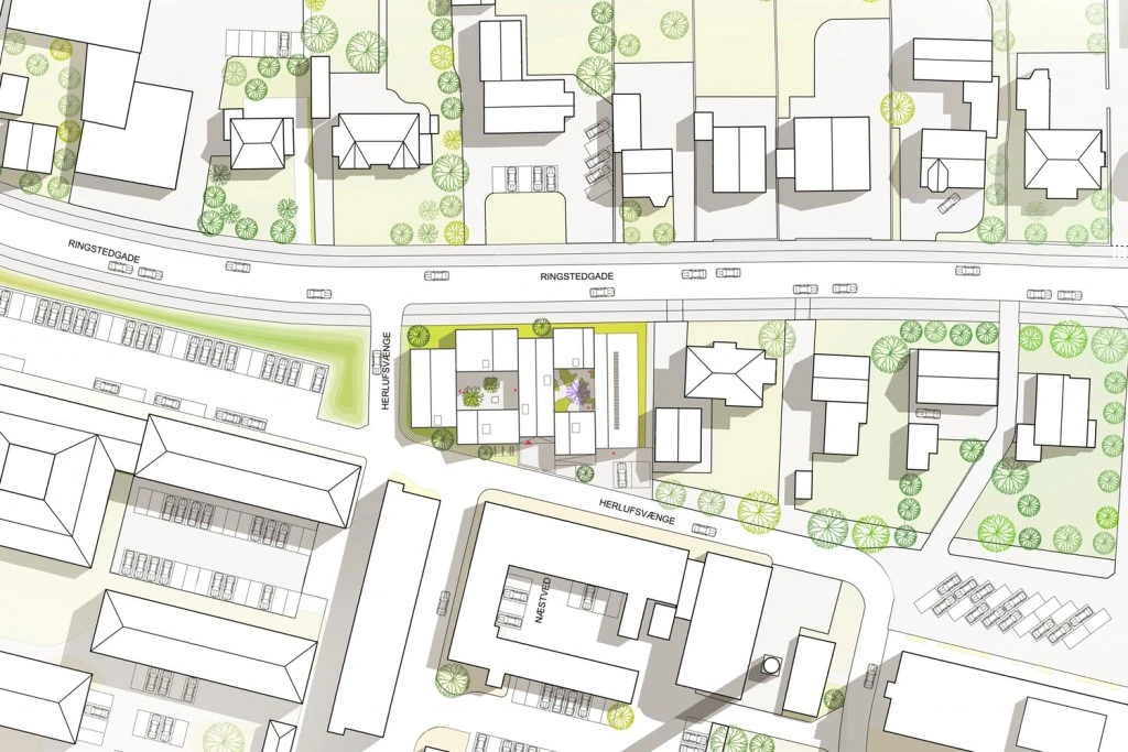 LIVSRUM despiertaymira master plan