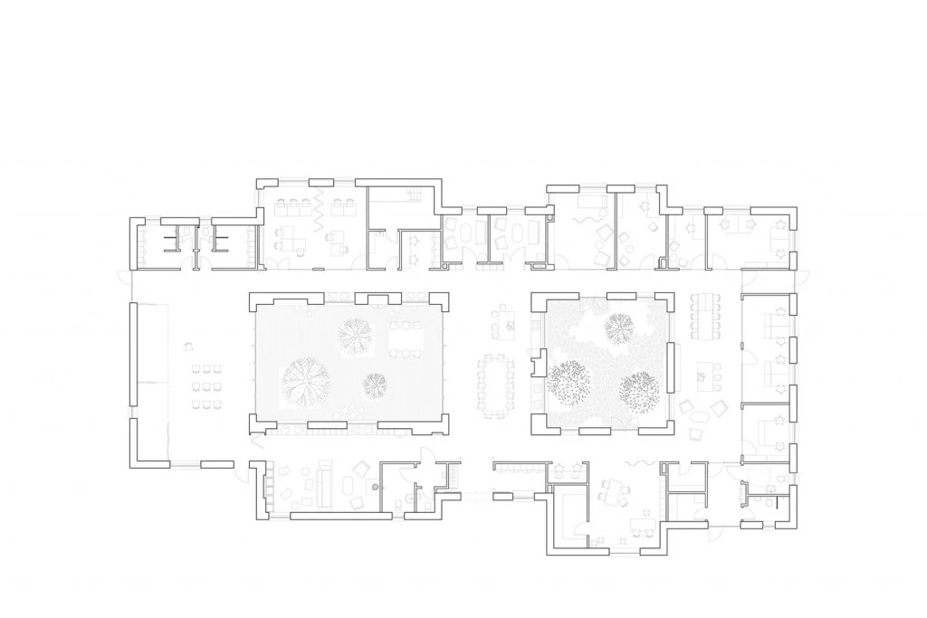 LIVSRUM despiertaymira planta