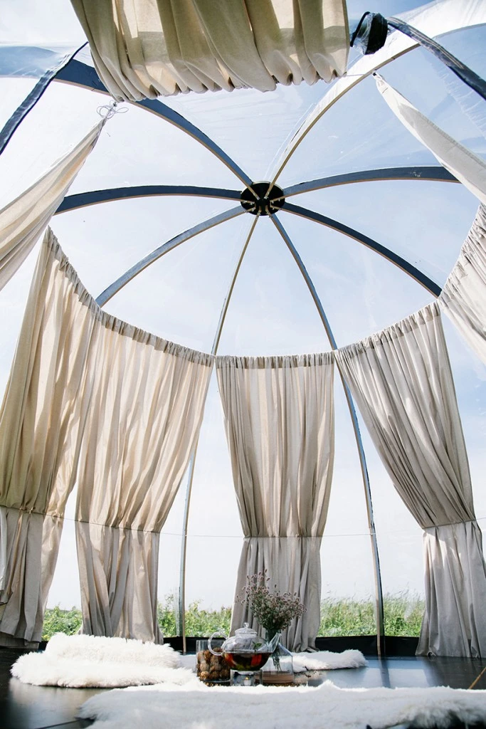 Vytautas-puzeras-oasis-dome-dym04