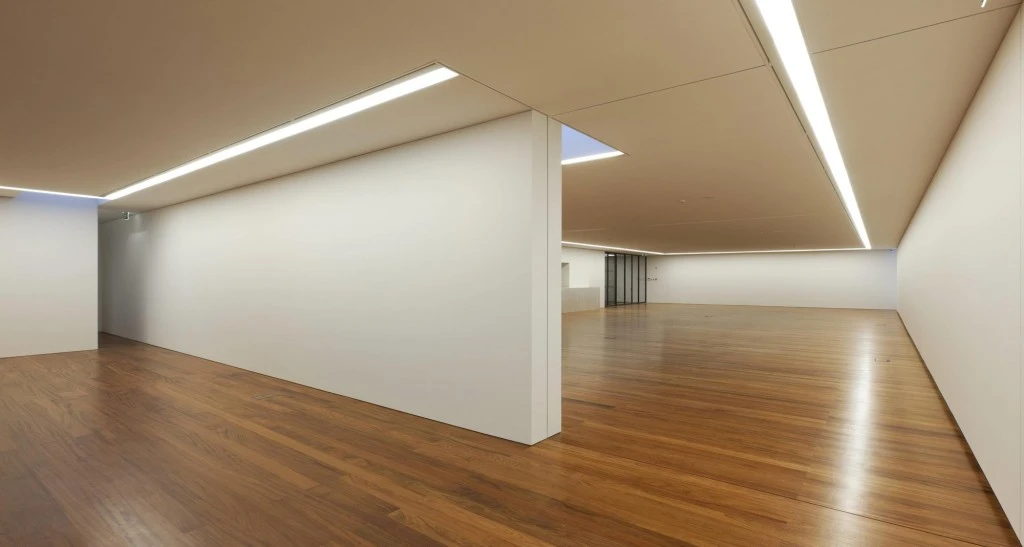 despiertaymira Espacio Miguel Torga SOUTO Foto LFA (17)