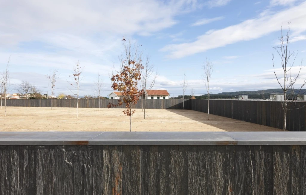 despiertaymira Espacio Miguel Torga SOUTO Foto LFA (5)