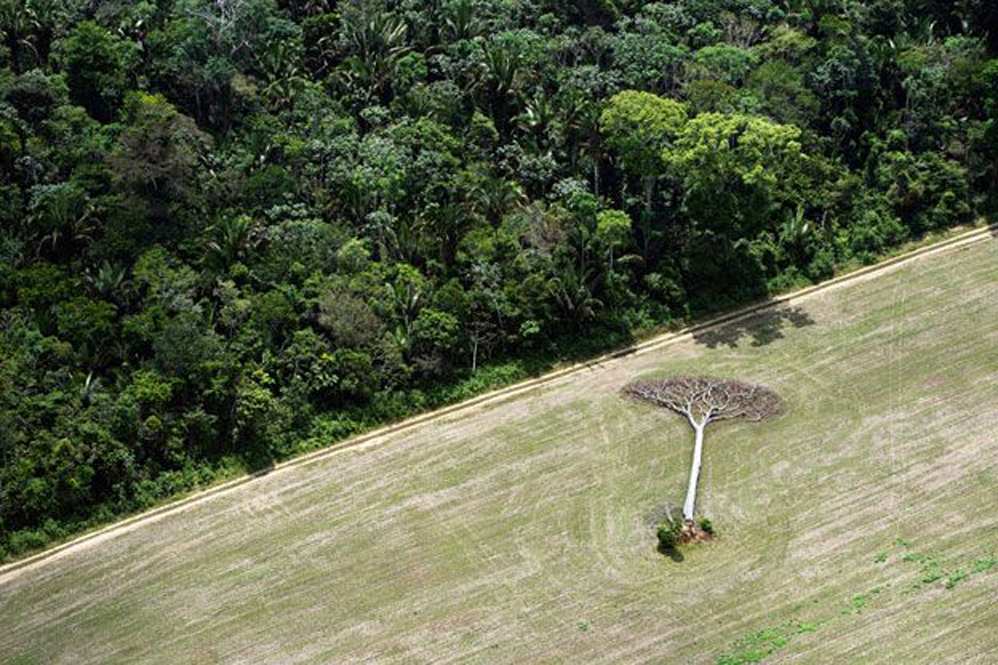 DanielBeltra_Amazonia_dym07