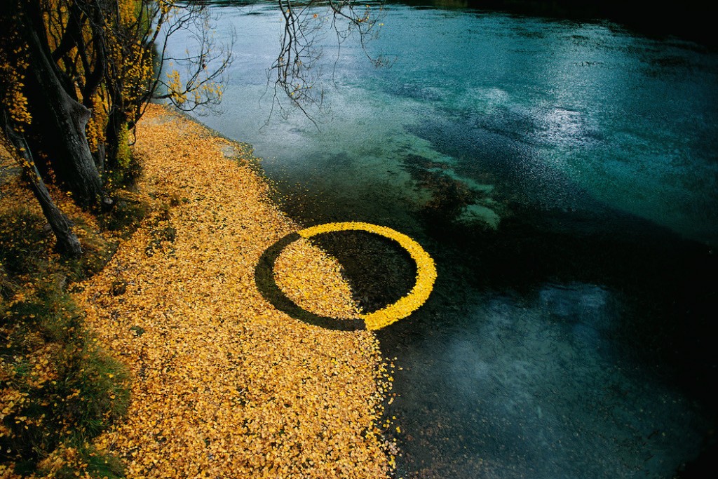 Imagen de Martin Hill Hojas en circulo en otoño